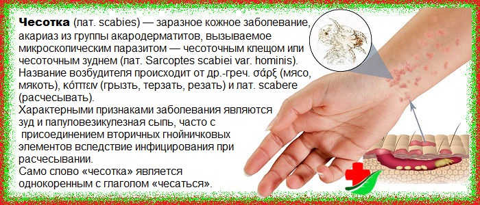 На фото описано понятие чесотки