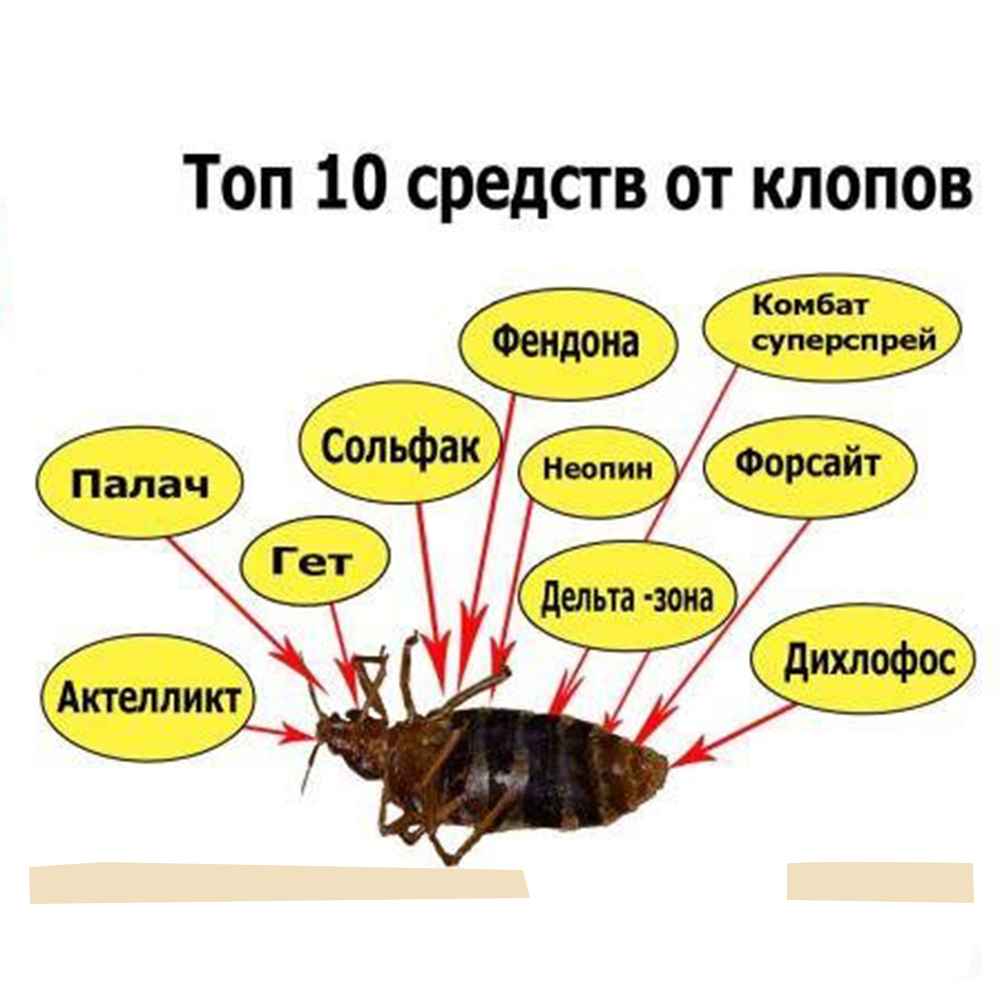 На фото описано про средства от клопов