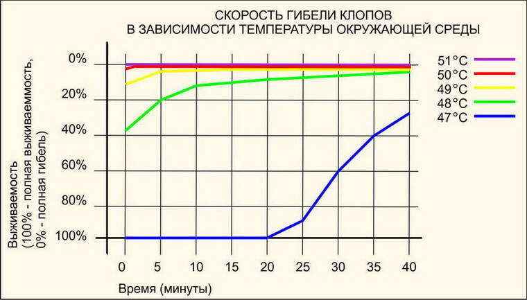 На фото описано про время гибели клопов