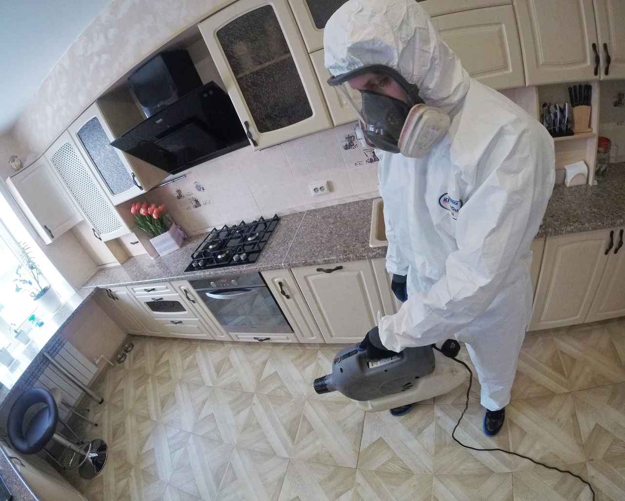 На фото показана обработка от тараканов