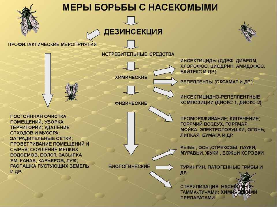 На фото описано про методы уничтожения насекомых