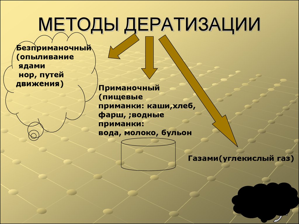 На фото описано про методы дератизации