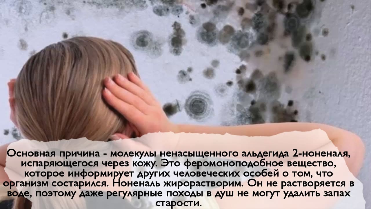 На фото описана основная причина запаха старости